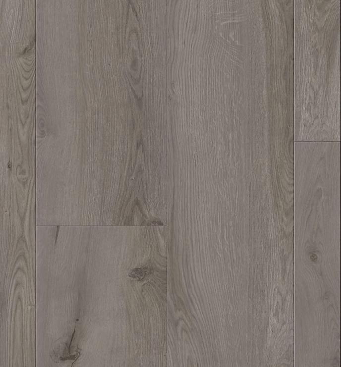 Gyant Grey 62001320 秋色灰橡